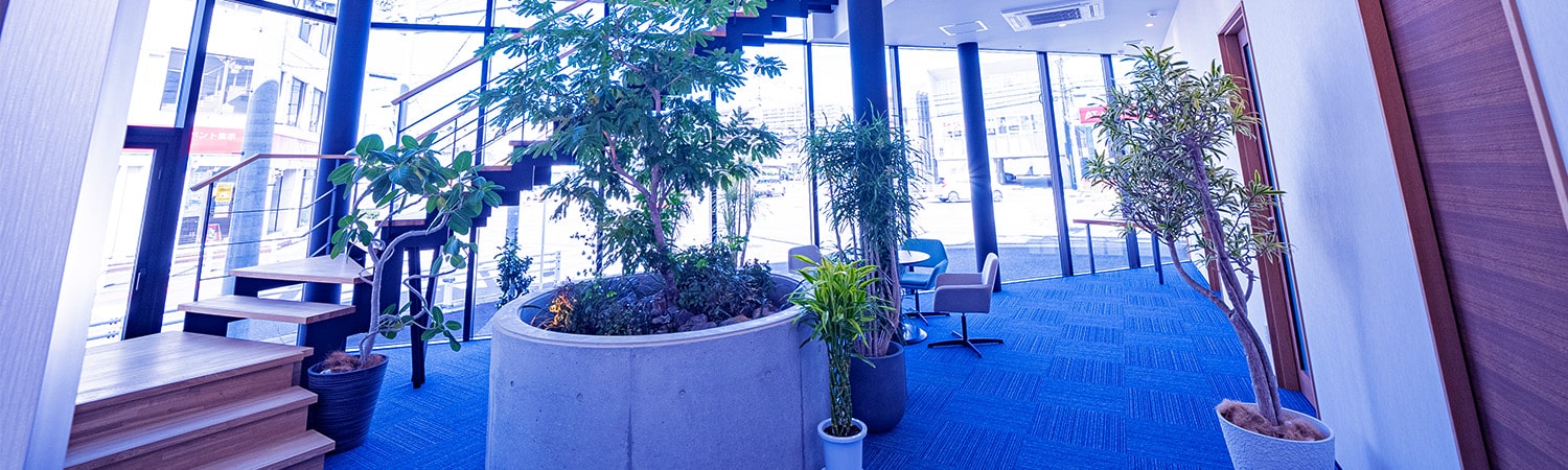 システックスニュース